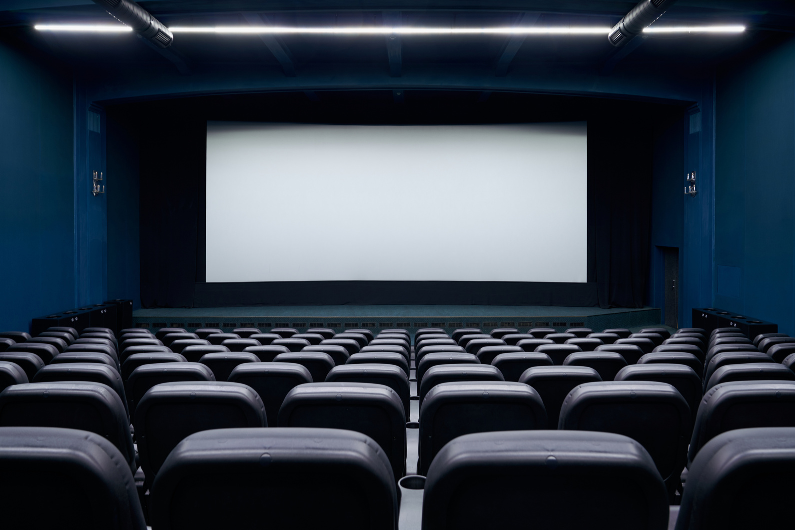 Spacious Cinema Hall with Blank Screen and Rows Seats.
